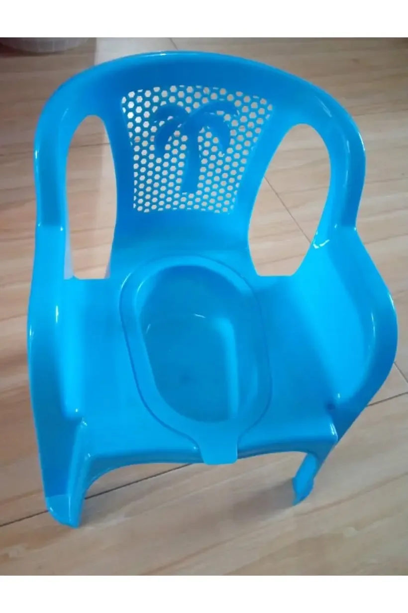 Baby Potty Chair