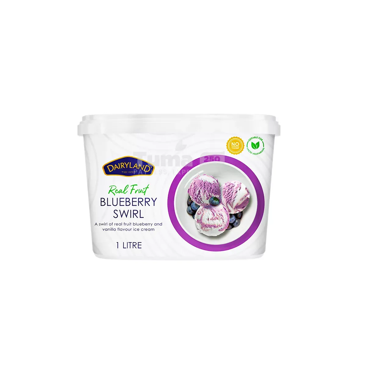 Dairyland Real Fruit Blueberry Swirl Ice Cream 1L