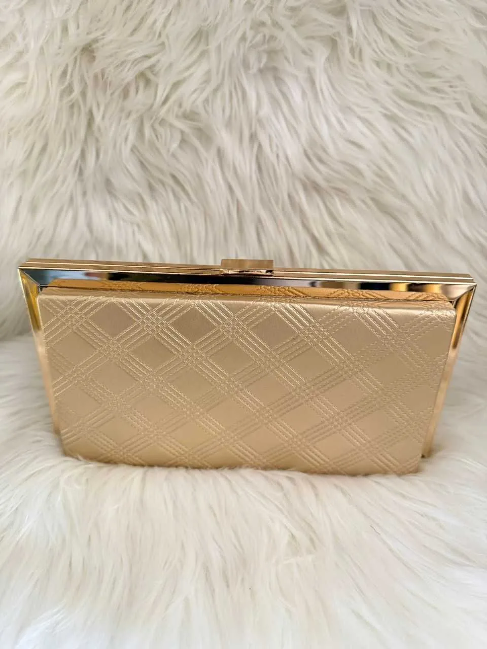 Champagne Gold Frame Clutch Handbag