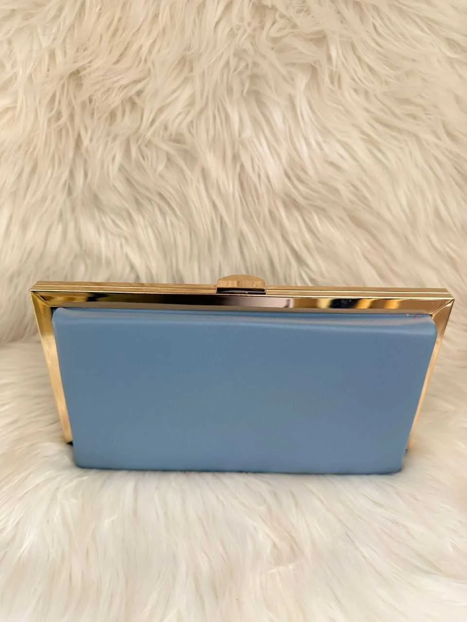 Light Blue Frame Clutch Handbag
