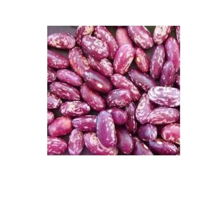 Mutiki Dry Beans per kg