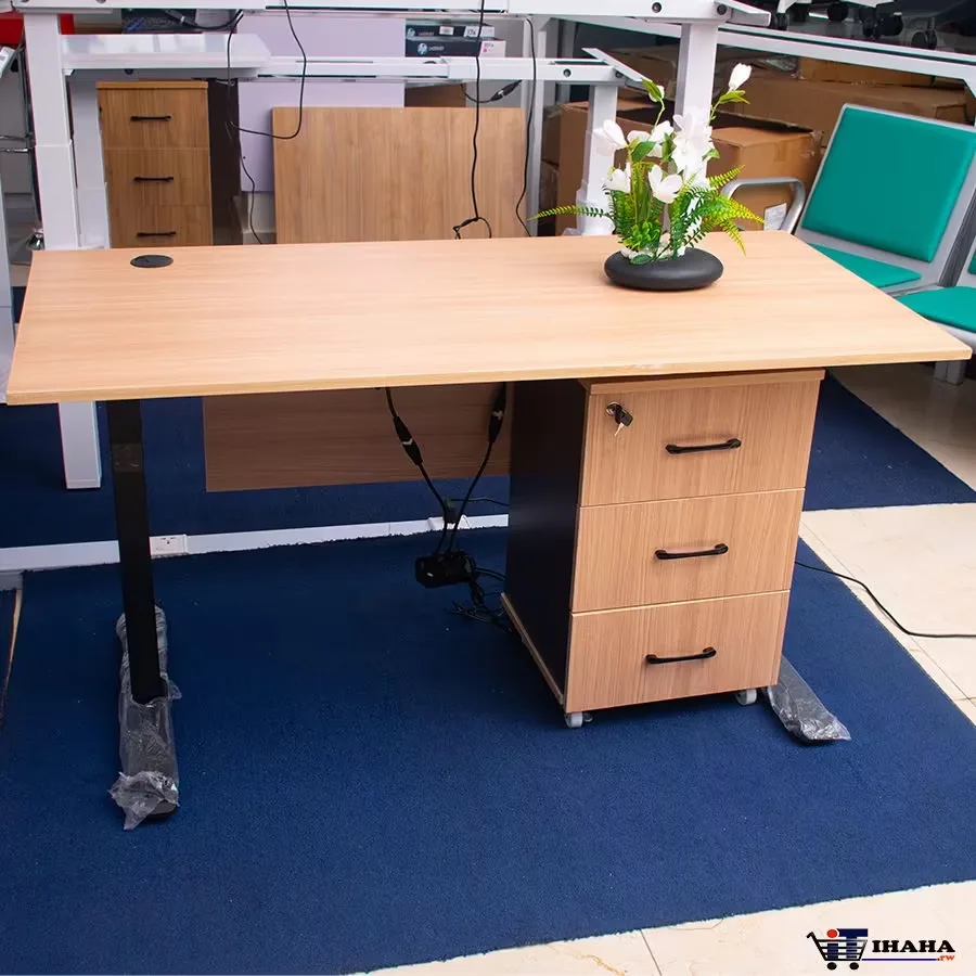 T202 Dual Motor Standing Adjustable Desk Frame with Drawers