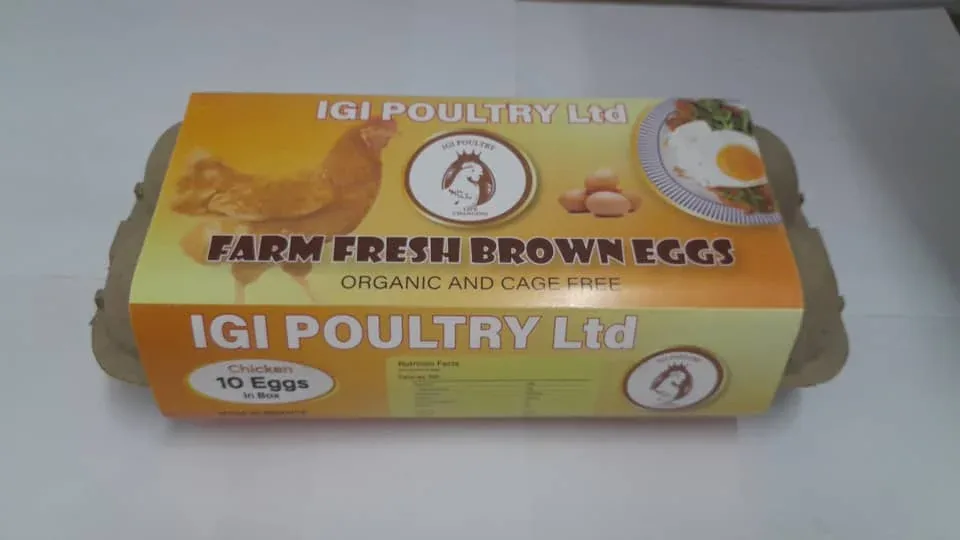 Eggs 10 Pack