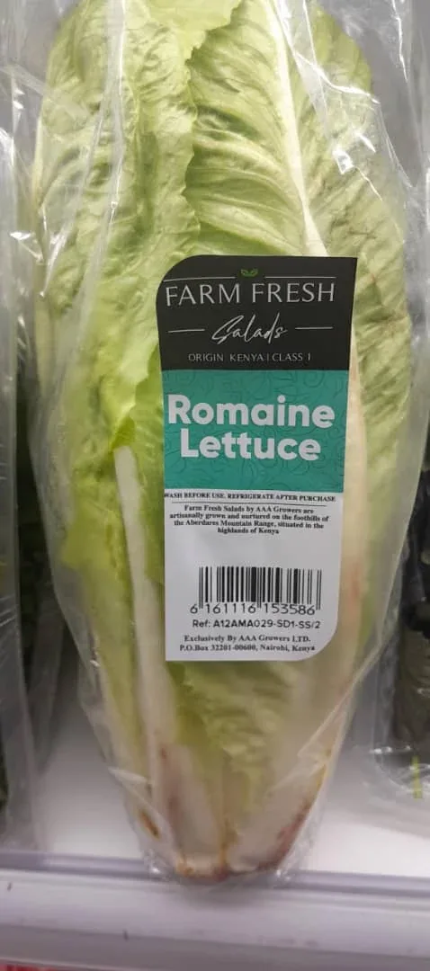 Romaine Lettuce Pack