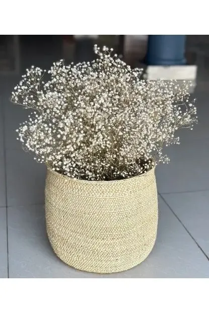 Natural Gypsophila & Craft Basket