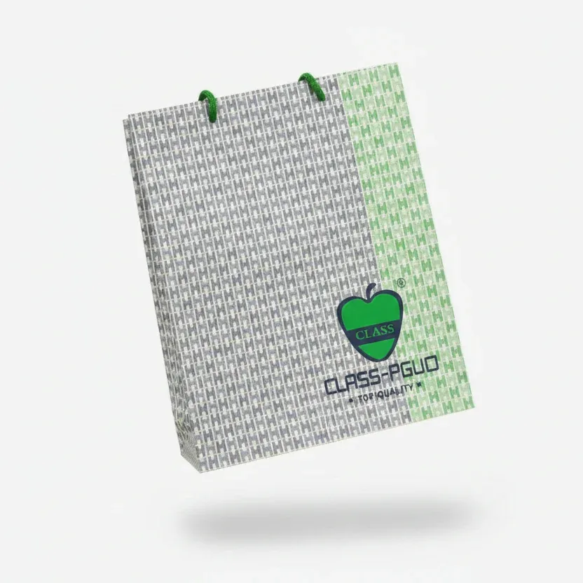 Class-Pguo Patterned Paper Gift Bag (31*32*10 cm)