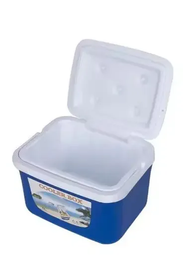 Insulated Cooler Box, Portable Ice Box for Food and Drinks