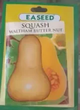 SQUASH WALTHAM BUTTER NUT SEEDS  50g
