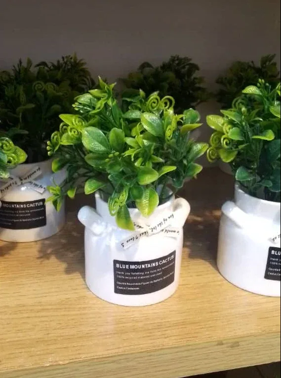 Artificial Succulent Plant in White Ceramic Pot