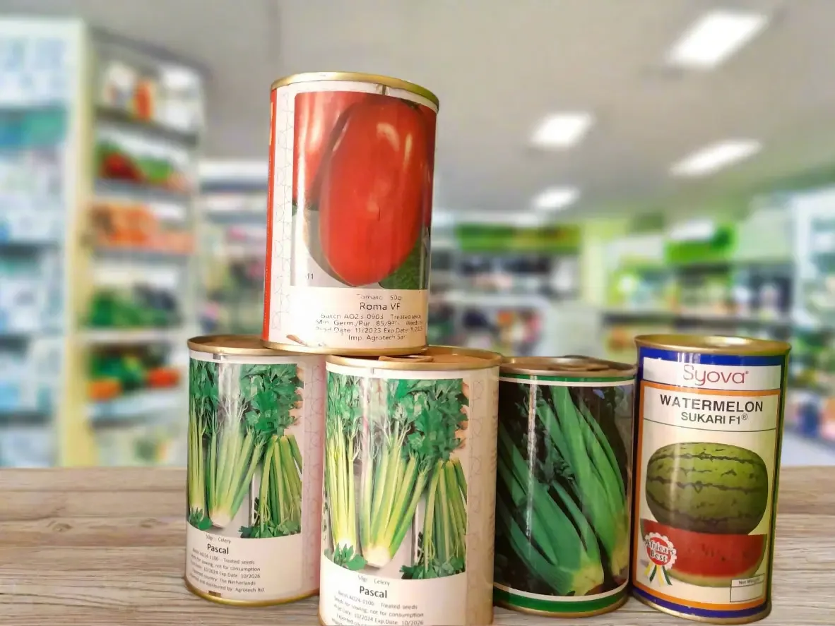 Celery and Tomato Syova