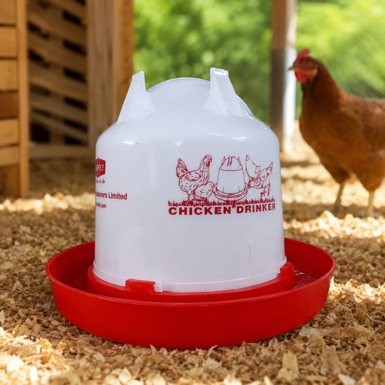 Plastic Poultry Chicken Drinker / Water Feeder