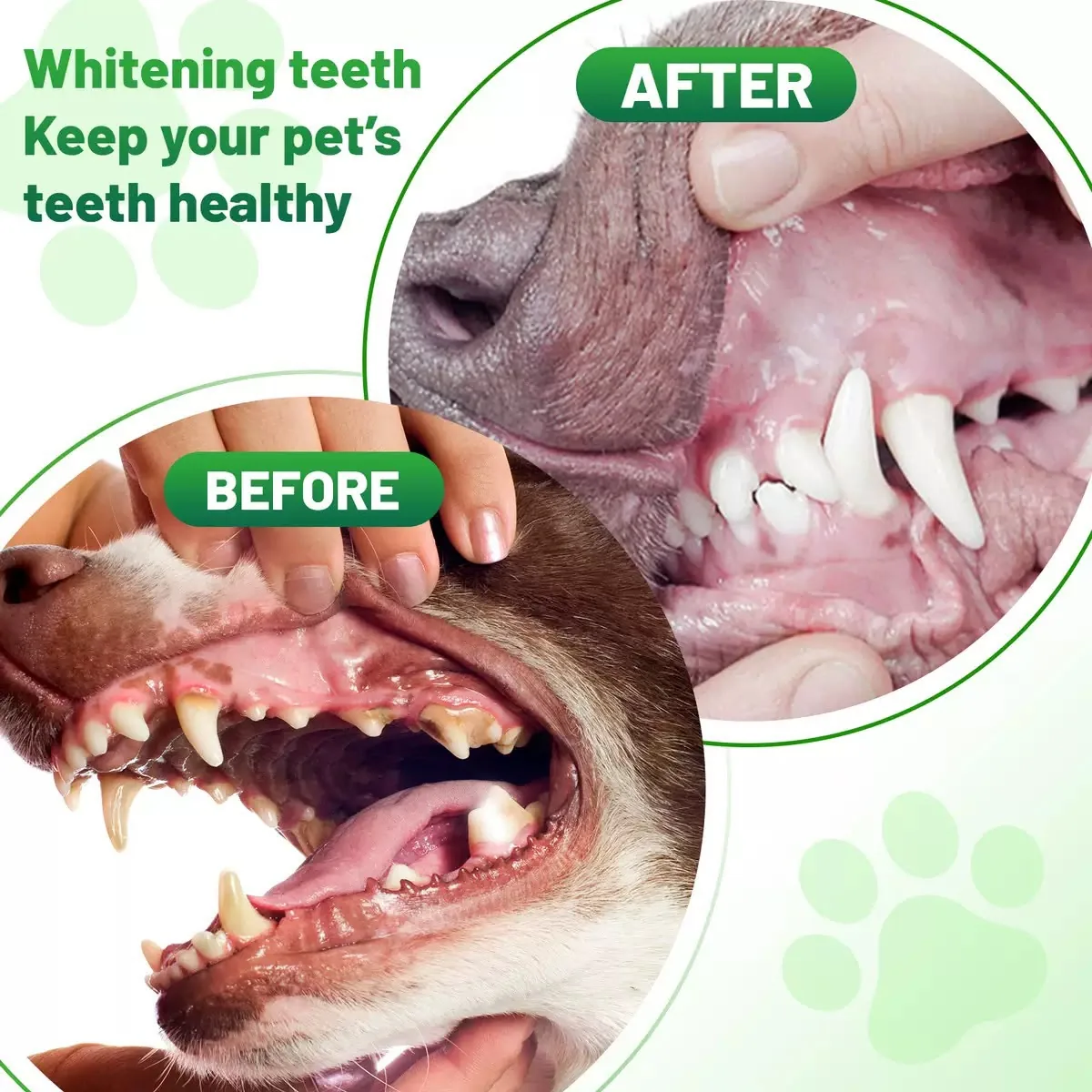 Pet Dental Cleaning Powder