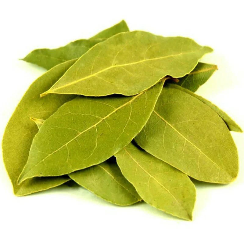 Bay Leaves (Feuille De Laurier) by Park &amp;amp; Pick
