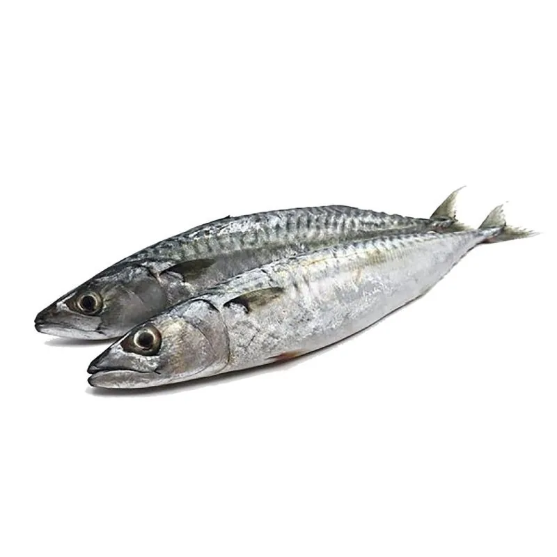 FISH MEAT-TOMSON(1KG)