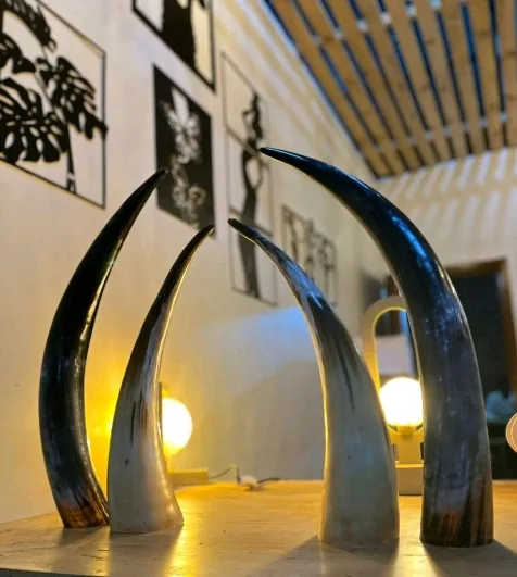 Cow horns decorative art piece