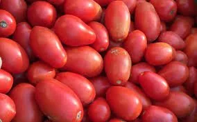 TOMATOES/INYANYA 1KG
