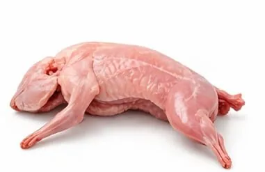 Whole rabbit