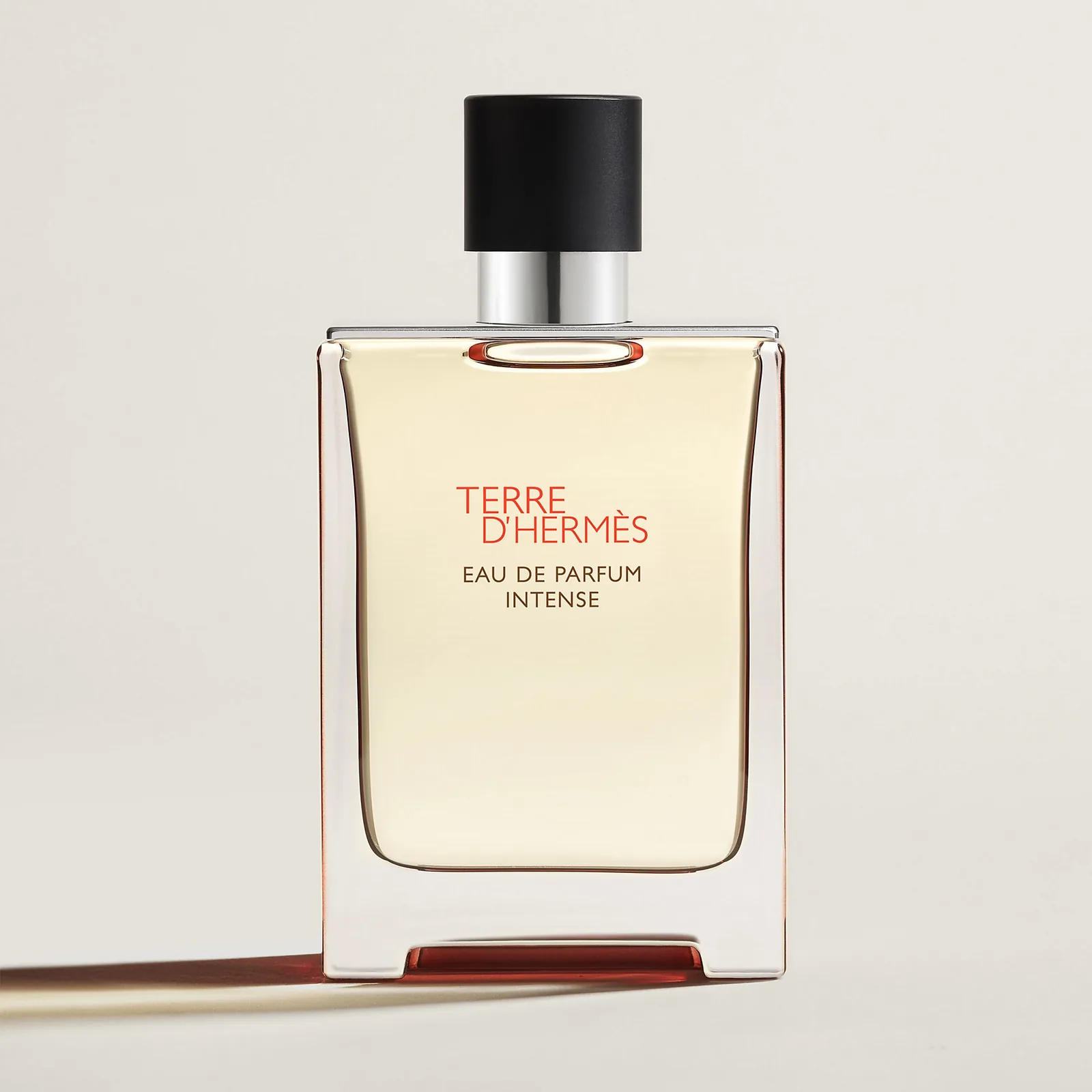 Terre D'hermes Eau De Parfum Intense
