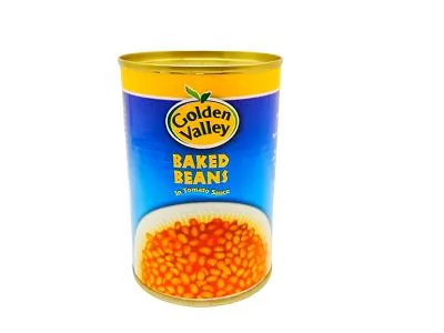 GV Baked Bean In tomato sauce 420g