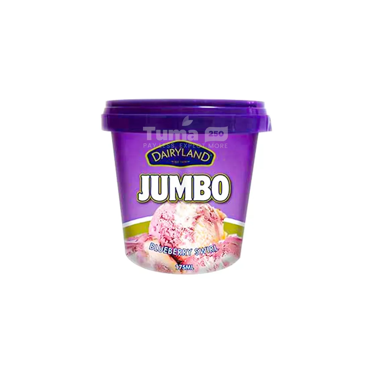 Dairyland Jumbo Blueberry Swirl Ice Cream 175ml