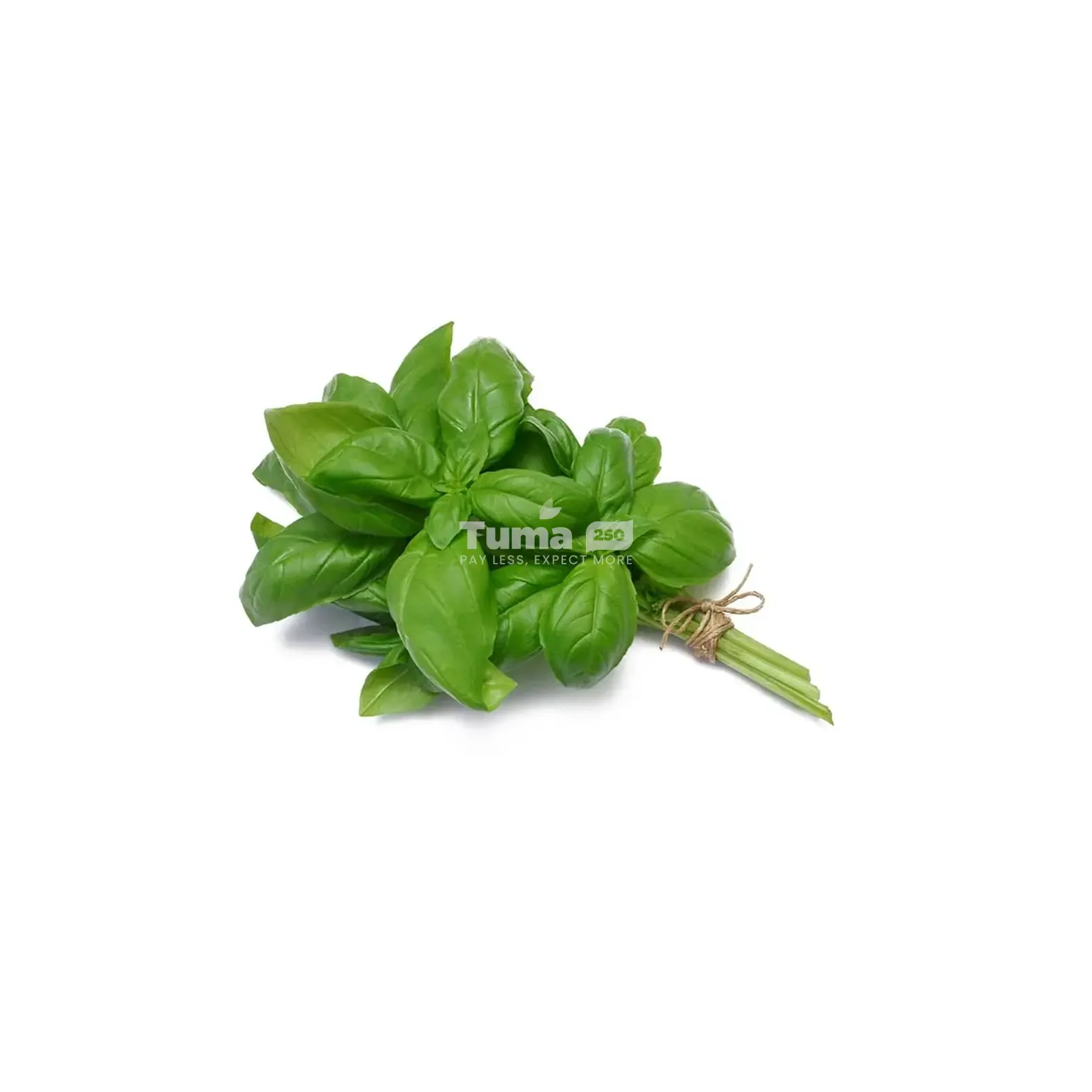 Basil-Basilic – 250g